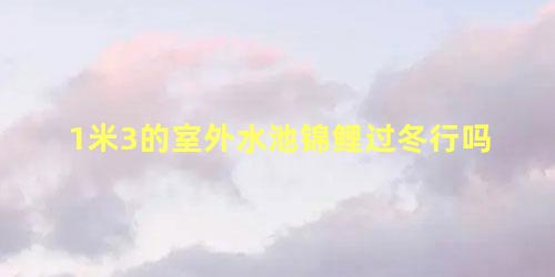 1米3的室外水池锦鲤过冬行吗