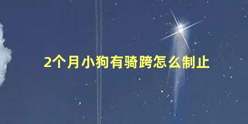 2个月小狗有骑跨怎么制止