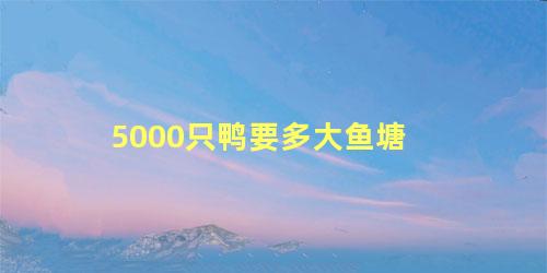 5000只鸭要多大鱼塘