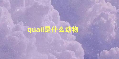 quail是什么动物