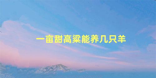 一亩甜高粱能养几只羊