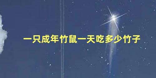 一只成年竹鼠一天吃多少竹子