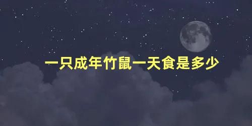 一只成年竹鼠一天食是多少