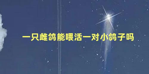 一只雌鸽能喂活一对小鸽子吗
