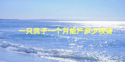 一只鸽子一个月能产多少枚蛋