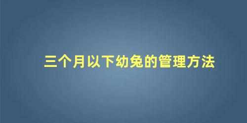 三个月以下幼兔的管理方法