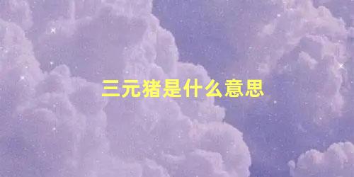 三元猪是什么意思