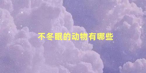 不冬眠的动物有哪些