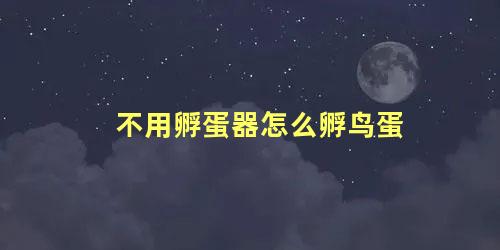 不用孵蛋器怎么孵鸟蛋