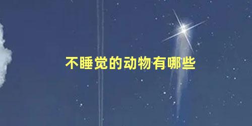 不睡觉的动物有哪些