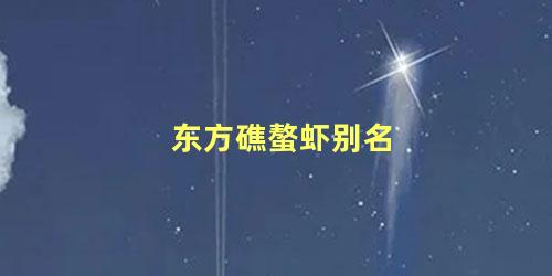 东方礁螯虾别名