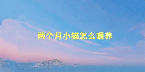 两个月小猫怎么喂养