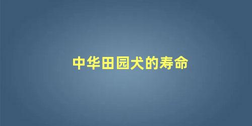 中华田园犬的寿命