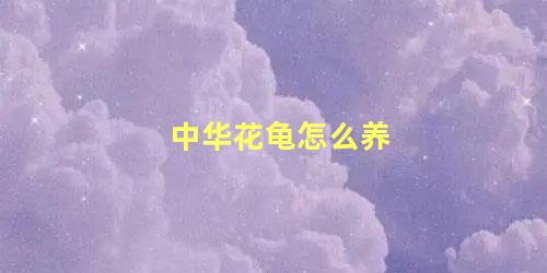 中华花龟怎么养