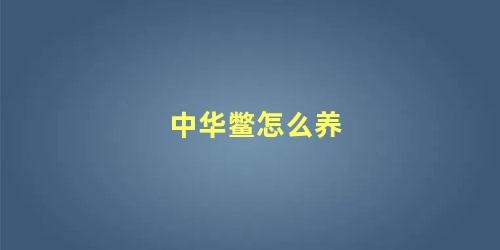 中华鳖怎么养