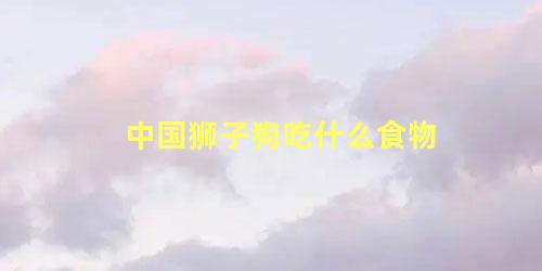 中国狮子狗吃什么食物