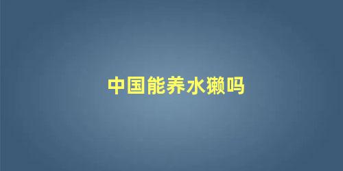 中国能养水獭吗