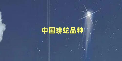 中国蟒蛇品种