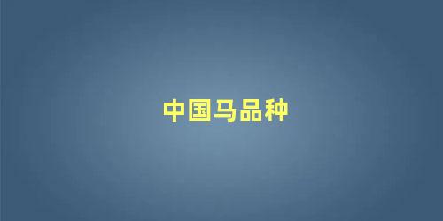 中国马品种
