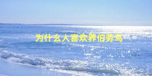为什么人喜欢养伯劳鸟