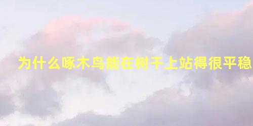为什么啄木鸟能在树干上站得很平稳