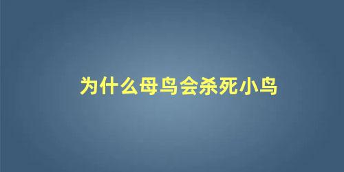 为什么母鸟会杀死小鸟