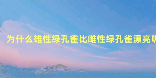 为什么雄性绿孔雀比雌性绿孔雀漂亮呢