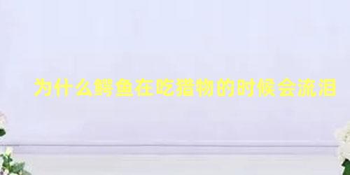 为什么鳄鱼在吃猎物的时候会流泪
