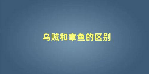 乌贼和章鱼的区别