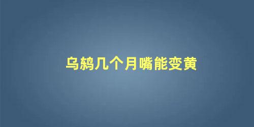 乌鸫几个月嘴能变黄