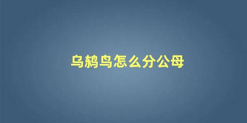乌鸫鸟怎么分公母