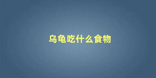 乌龟吃什么食物