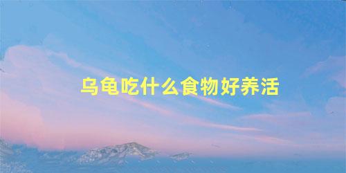 乌龟吃什么食物好养活