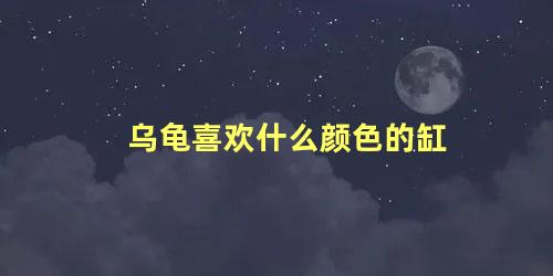 乌龟喜欢什么颜色的缸