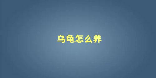 乌龟怎么养