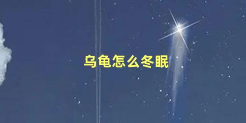 乌龟怎么冬眠
