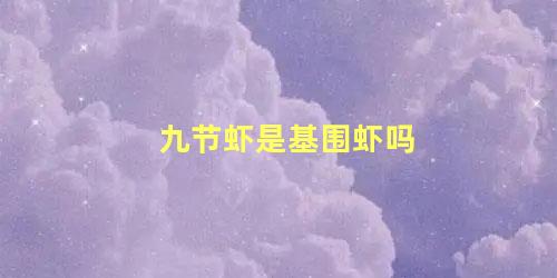 九节虾是基围虾吗