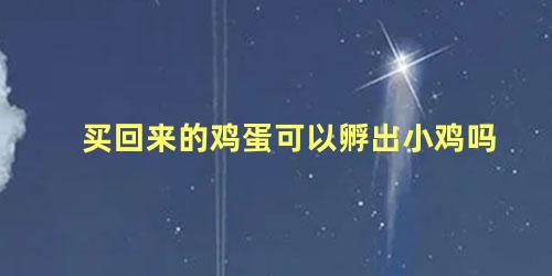 买回来的鸡蛋可以孵出小鸡吗