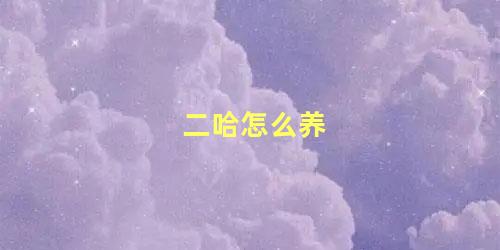 二哈怎么养