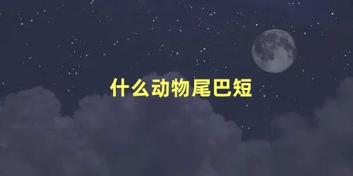 什么动物尾巴短