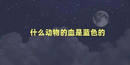 什么动物的血是蓝色的