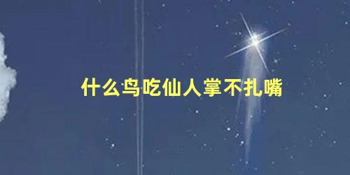 什么鸟吃仙人掌不扎嘴
