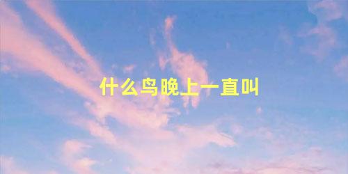 什么鸟晚上一直叫
