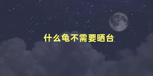 什么龟不需要晒台