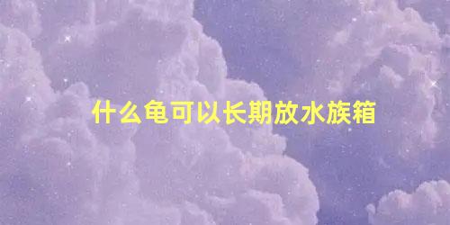 什么龟可以长期放水族箱