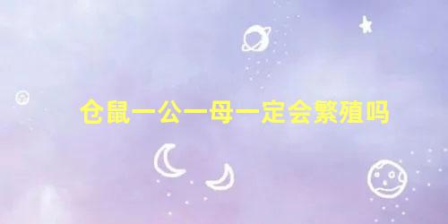 仓鼠一公一母一定会繁殖吗