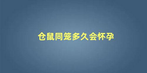 仓鼠同笼多久会怀孕