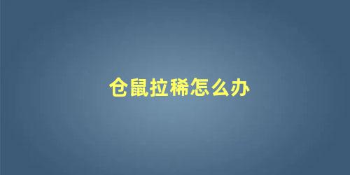 仓鼠拉稀怎么办