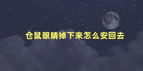 仓鼠眼睛掉下来怎么安回去