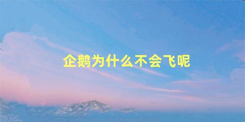 企鹅为什么不会飞呢